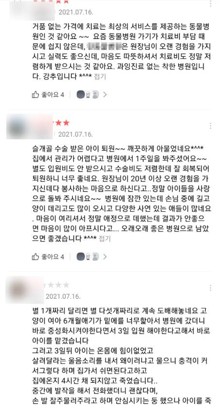 2020년 7월 A동물병원 업체 방문 리뷰 서비스에 피해 사실을 올렸지만 게시 중단된 글 일부 및 칭찬 글. 독자 제공