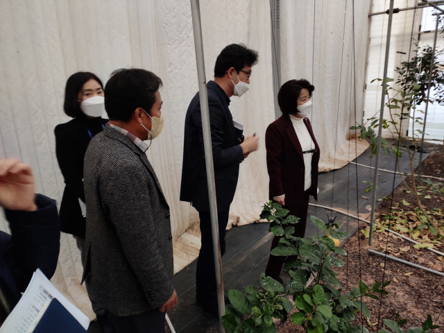 ▲유미자 부군수와 실과장, 팀장들이 주요 사업 추진현황에 대해 보고하고 의견을 나누고 있다. ⓒ강진군