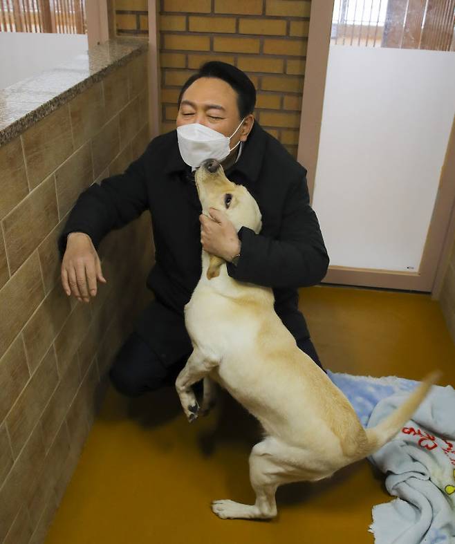 윤석열 국민의힘 대선후보가 19일 오후 경기도 용인시 처인구 삼성화재 안내견학교를 방문, 교육중인 안내견을 쓰다듬고 있다. (사진=연합뉴스)