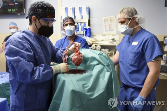 미국 매릴랜드주 볼티모어에서 지난 7일(현지시간) 메릴랜드대 의료진이 사람 심장을 이식받지 못한 시한부 환자 데이비드 베넷(57)에게 이식할 돼지 심장을 들어보이고 있다.