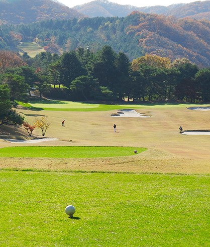 이포CC 등 33개 골프장이 설 연휴에도 정상 영업을 한다.