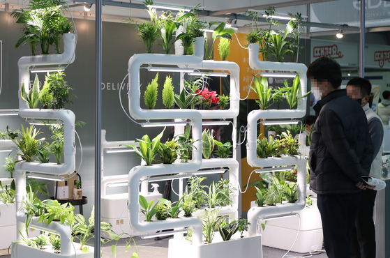 Visitors examine plants displayed in a booth at the 64th World Franchise Expo 2022 held at COEX in southern Seoul on Thursday. [YONHAP]