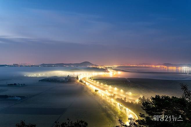 사진 : 카약, 자유로