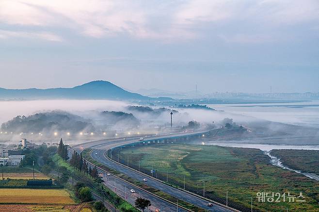 사진 : 카약, 자유로