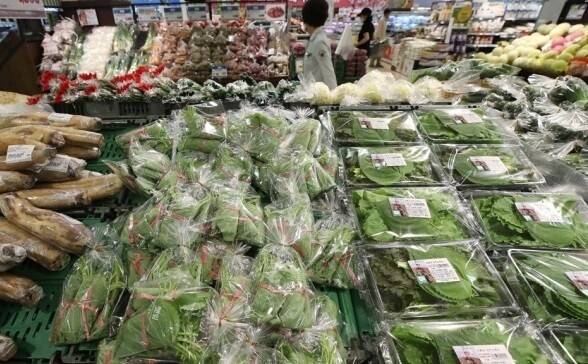 고기와 함께 먹는 깻잎, 상추, 풋고추 등 채소 가격이 크게 올랐다. 사진은 한 대형마트의 신선식품 코너. 연합뉴스
