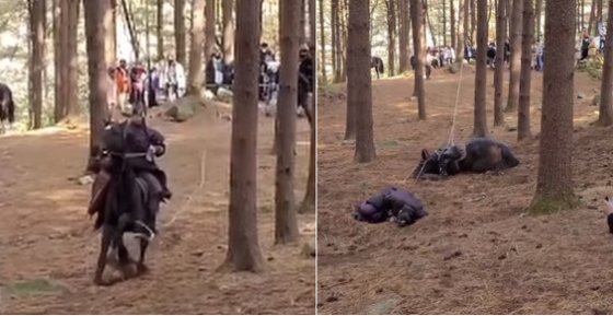 KBS 1TV 대하 드라마 '태종 이방원' 촬영 중 동물을 학대했다는 논란이 제기됐다. [사진 KBS, 동물자유연대 인스타그램]