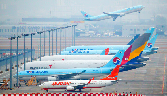 지난 18일 인천국제공항 주기장에 제주항공, 대한항공, 아시아나항공 등의 비행기가 집결해있다. 연합뉴스