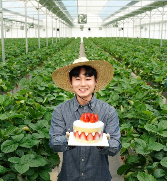 충청남도 논산시 비타베리 재배 농가에서 청년농부 박태준씨가 비타베리를 활용한 파리바게뜨 케이크를 선보이고 있다. SPC그룹 제공