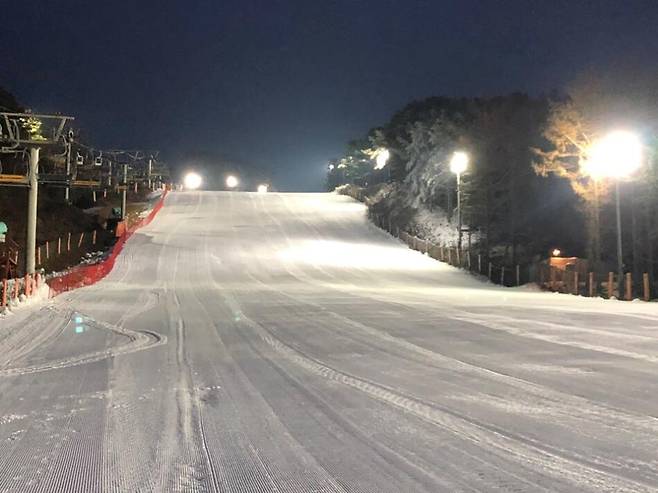 경기도 포천 베어스타운스키장 모습. 베어스타운 누리집 갈무리