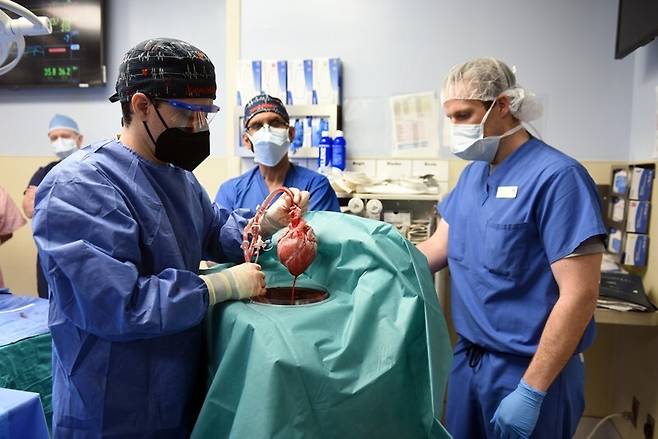 미국 메릴랜드대 의료진이 중증 심장병 환자에게 돼지의 심장을 이식하는 장면이다. 메릴랜드대 의대 제공