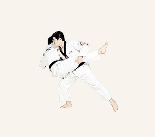 태권도서 넘기기는 레슬링과 유도와 비슷한 공격기술이다. 사진은 들어넘기기 장면. [국기원 태권도용어 사전 사진]
