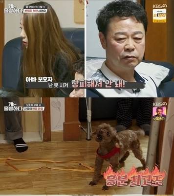 [서울=뉴시스]개훌륭 간장이  . 2022.01.25. (사진= KBS 2TV  제공) photo@newsis.com*재판매 및 DB 금지 *재판매 및 DB 금지