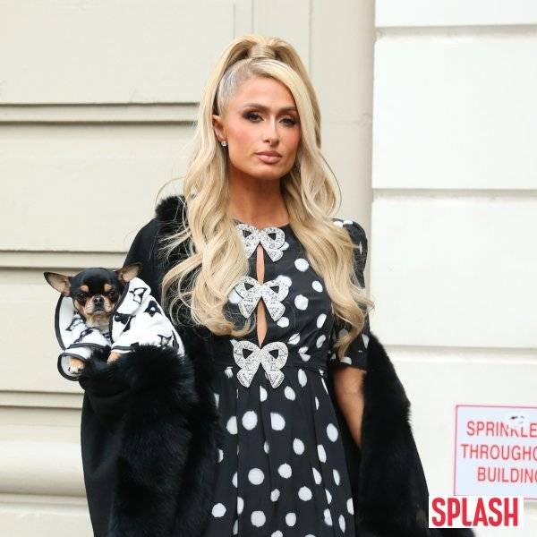 사진｜Splash News