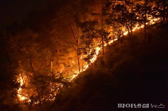 야간 산불. 사진제공=산림청