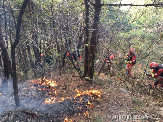 주간 산불 지상진화. 사진제공=산림청