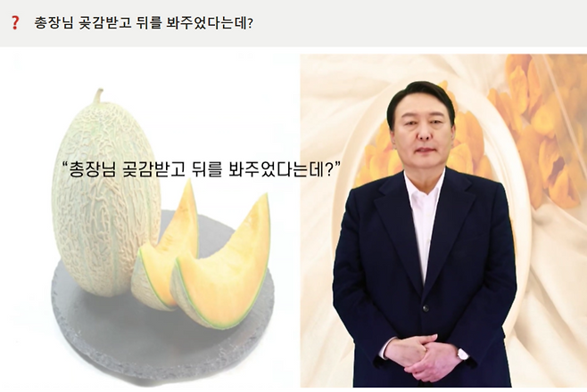 사진 = 윤석열 공약위키 홈페이지 캡처