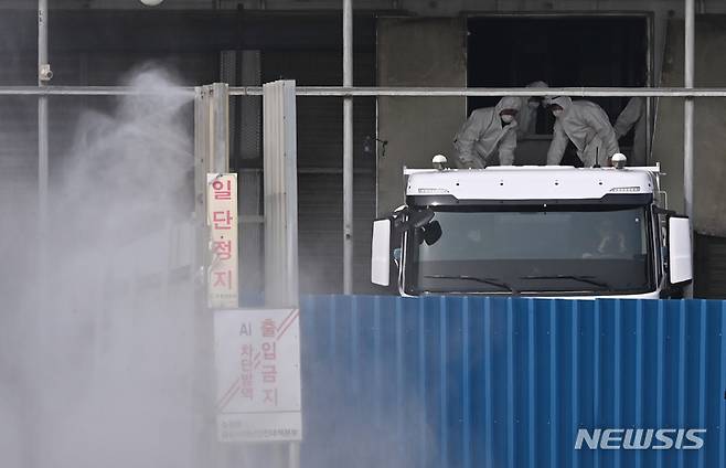 [화성=뉴시스] 김종택기자 = 경기도 화성시 한 산란계 농장에서 고병원성 조류인플루엔자(AI) 의심 사례가 발생해 관계자들이 예방적 살처분을 하고 있다. 2022.01.23. jtk@newsis.com