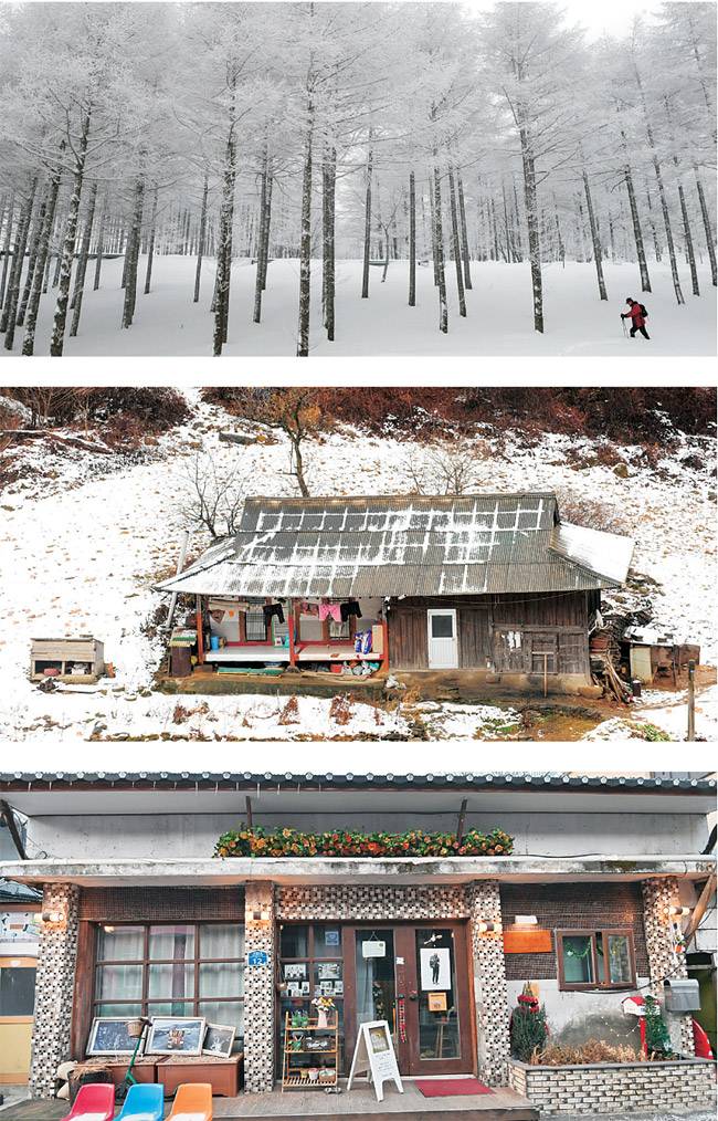 고속도로 대신 국도와 지방도로를 느릿느릿 따라가는 강원네이처로드 위에서는 다양한 풍경을 만난다. 사진 위는 폭설로 뒤덮인 만항재 정상 부근, 가운데는 태백의 산중에서 만난 외딴집. 아래는 주민들이 골목상점을 모아 마치 호텔처럼 운영하는 정선 고한읍의 골목길 ‘마을호텔18번가’의 소박한 사진관.