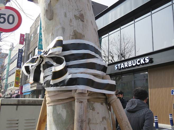 Call for justice over trees 'poisoned' near Starbucks drive-thru
