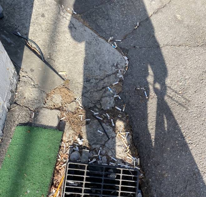 어디에나 버려져 있는, 그 말이 이 사진을 가장 잘 설명하는 게 아닐까 싶다./사진=그림자로 등장한 남형도 기자