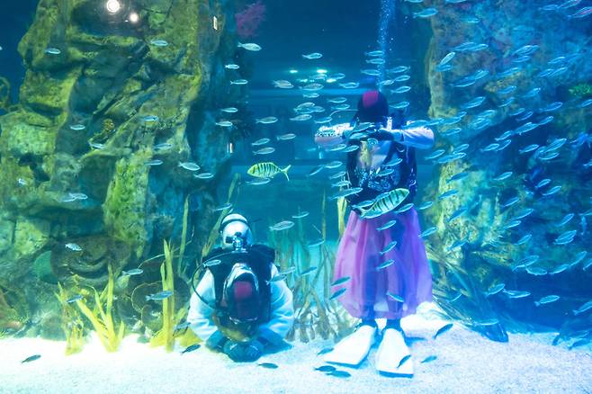 롯데월드 아쿠아리움 메인 수조 '디오션'에서 관람객에게 세배하는 아쿠아리스트들 *재판매 및 DB 금지
