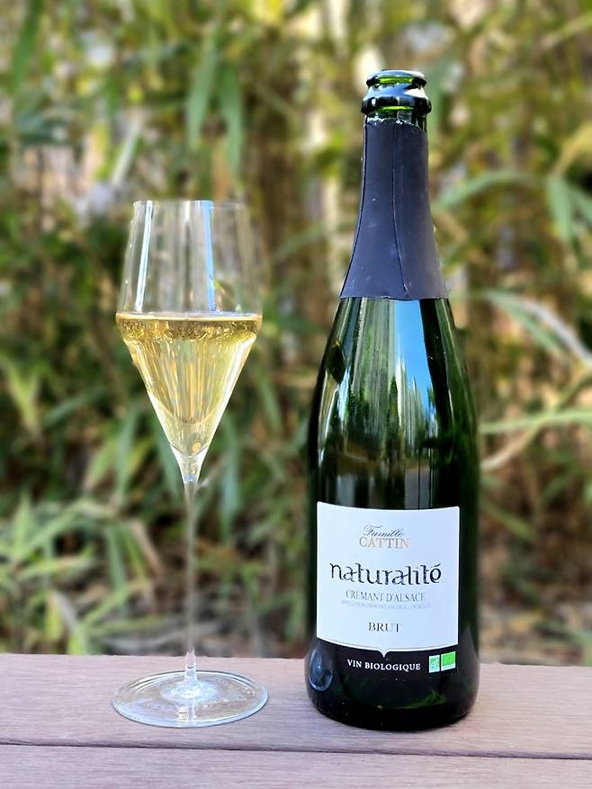 까땅 나뛰랄리떼 브뤼.