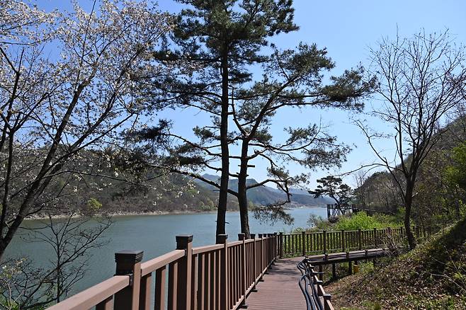 옥천 향수호수길. 옥천군 제공