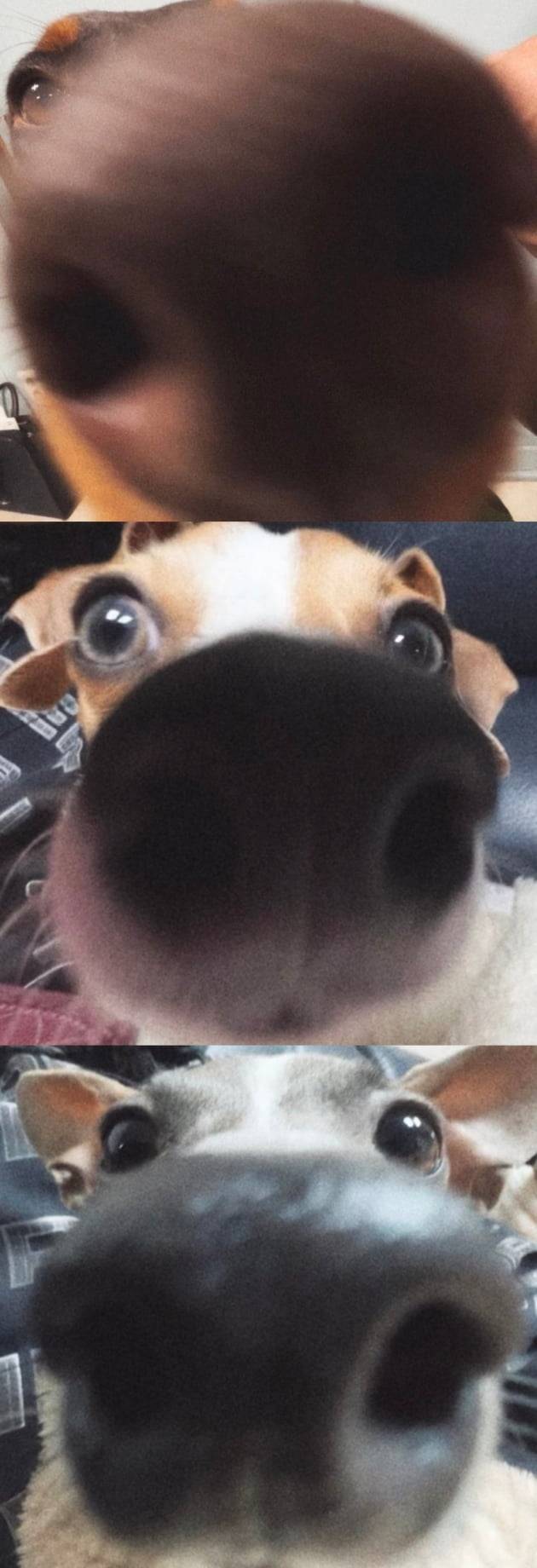 사진=정국 인스타그램