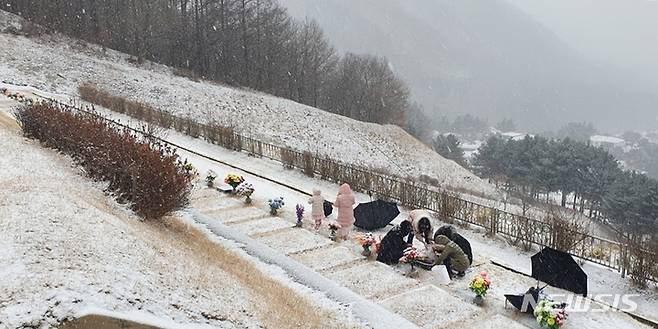 [청주=뉴시스] 조성현 기자 = 설 당일인 1일 오전 충북 청주시 상당구 월오동 목련공원에 눈이 내리고 있다. 2022.02.01. jsh0128@newsis.com