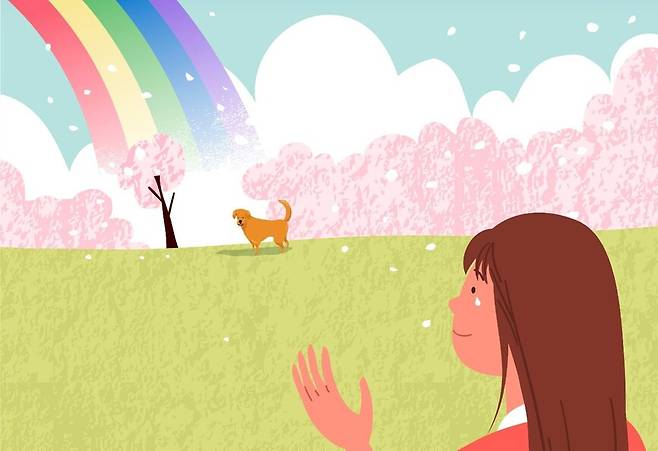 다양한 슬픔의 감정도 미리 생각해보는 것이 좋다. 책과 정보, 자료를 찾아 보고 도움을 구할 수 있는 펫로스 상담 프로그램 등을 알아둔다. 게티이미지뱅크