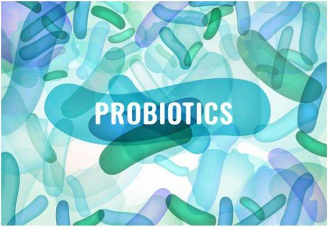 ⓒnewannyart/gettyimagebank