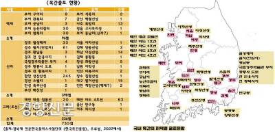 해방 이후 국내에서 확인된 삼국~조선시대 목간은 730여점에 달한다. 최근 몽촌토성에서 고구려(혹은 백제) 시대 목간이 확인됐다.|이용현 경북대 인문학술원 HK연구교수 제공