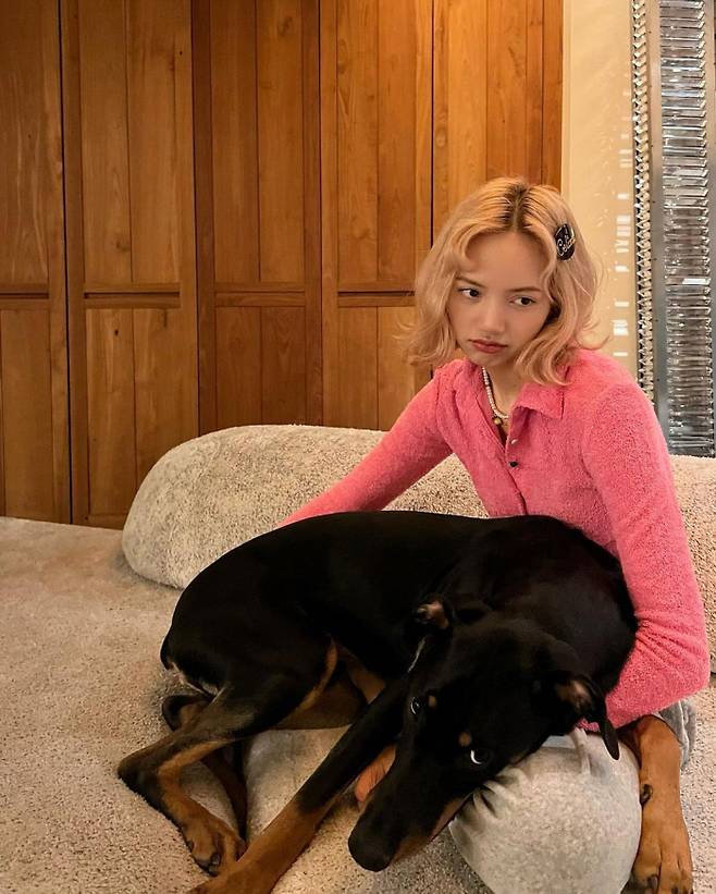 Girl group BLACKPINK Lisa is having a happy time with her dog.Lisa posted several photos on her social networking service on Friday without comment.Lisa is in a pink cardigan and has a blonde wave bob and looks over her bangs instead of her usual bangs-up style.Lisa gave the style point with a hairpin.In the photo, Lisa is playing with her dog Love.Lisa welcomed Doberman Love as her new family in August last year, living with five companion tombs in addition to Love.Meanwhile, BLACKPINK Lisas official Instagram recently surpassed 73 million followers, making it very popular.