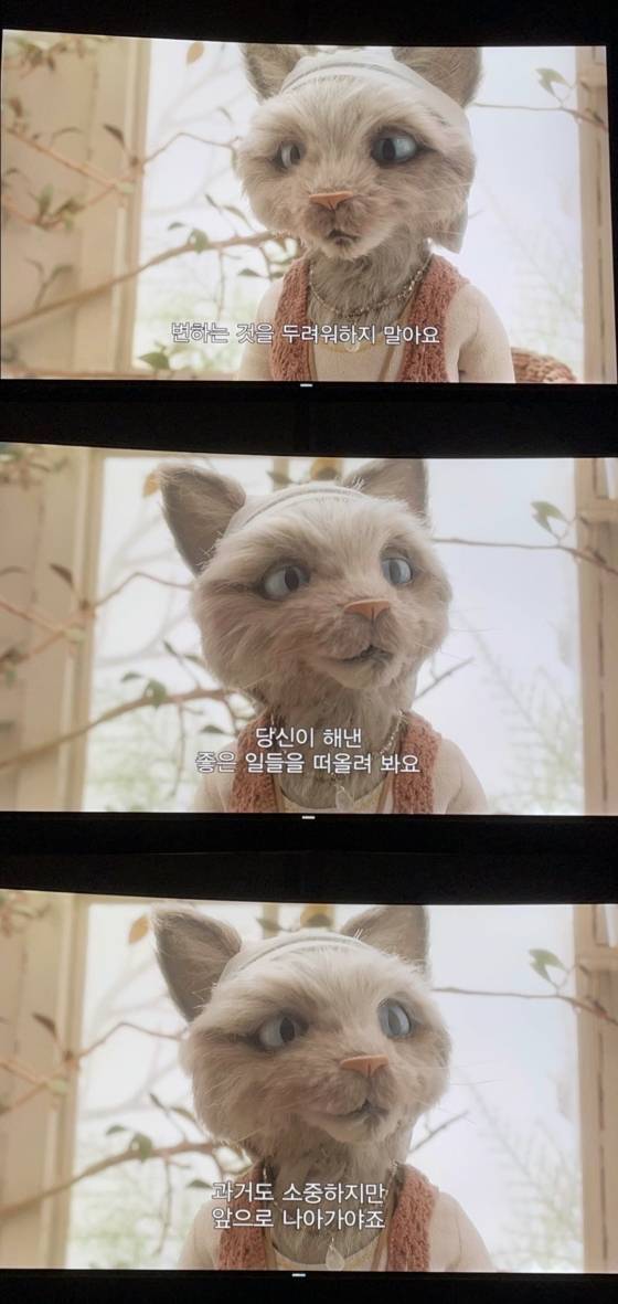 설현이 자신의 인스타그램 스토리에 남긴 게시물./사진=설현 인스타그램 스토리