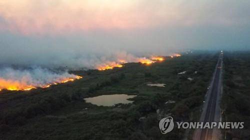 브라질 판타나우 불타는 숲 (판타나우 EPA=연합뉴스) 브라질 생태 지역 판타나우(Pantanal) 숲에서 산불 불길이 번지고 있다. 2019.11.01
    ucham1789@yna.co.kr