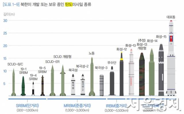 북한 탄도미사일을 사거리별로 분류한 소개도. /자료출처=2020년도 국방백서