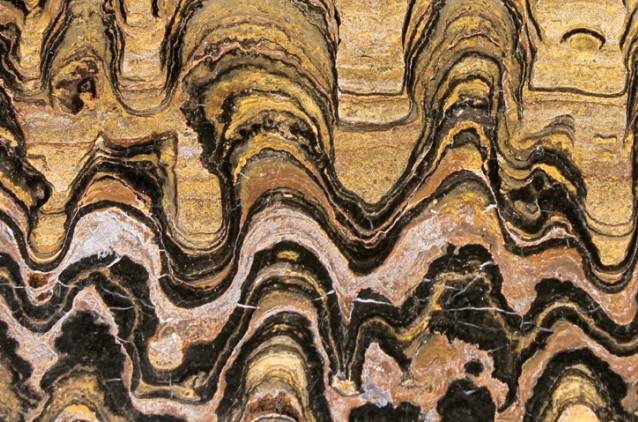 스트로마톨라이트를 세로로 잘라보면 퇴적물과 박테리아가 차곡차곡 쌓이며 만든 ‘엽층리’라는 무늬가 나타난다. 셔터스톡/어린이과학동아DB