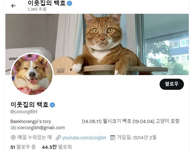 44만 팔로워를 보유한 이웃집의 백호 트위터. <트위터 캡쳐>