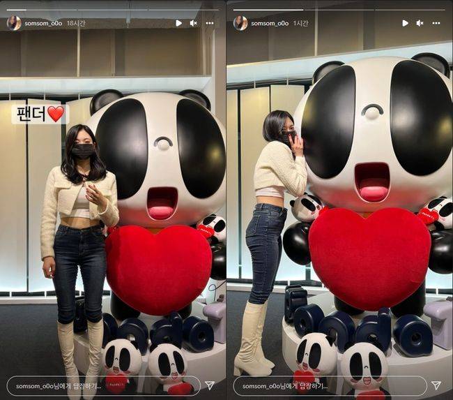 솜이 인스타그램