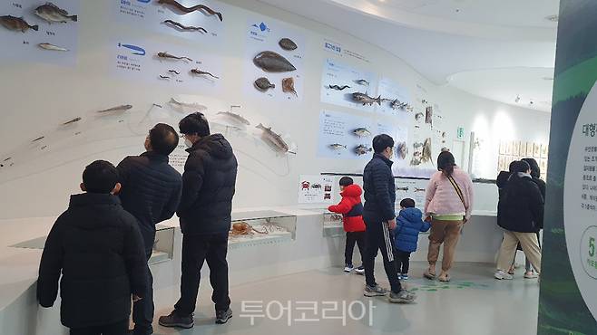 생태갯벌과학관 관람 전경