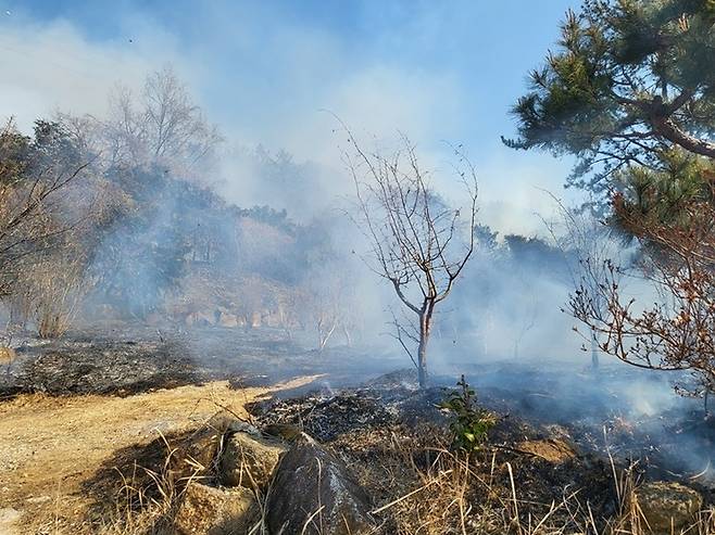 [순천=뉴시스] 김혜인 기자 = 25일 오후 전남 순천시 상사면 한 야산에서 불이 나 산림 당국이 진화작업을 벌이고 있다. (사진=산림청 제공) 2022.02.25.photo@newsis.com