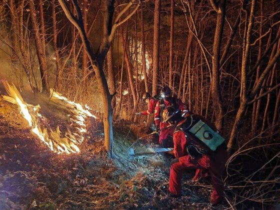 산림청 산불진화대원들이 지난달 28일 밤 경남 합천군 율곡면 한 야산에서 발생한 산불을 잡기 위해 진화 작업을 벌이고 있다. 뉴스1
