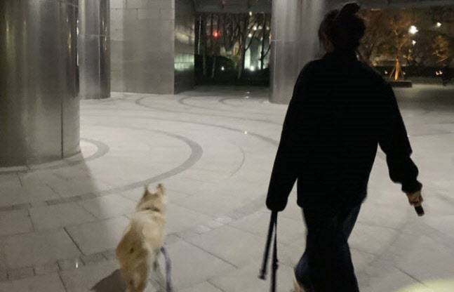 사진=윤석열 국민의힘 대선후보 트위터