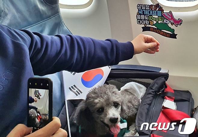 어나더베이비는 1일 '반려견과 함께하는 3.1절 기념 울릉도(DOG도) 비행' 행사를 주최했다. 한 탑승객이 독도를 지날 때 태극기와 함께 강아지 사진을 찍고 있다. © 뉴스1 최서윤 기자
