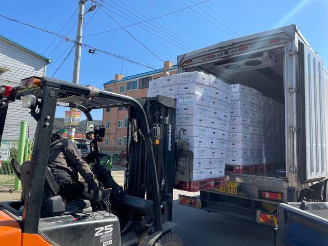 충남 서산시 운산 농협에서 전국 마트로 출하되는 서산 달래가 트럭에 실리고 있다.