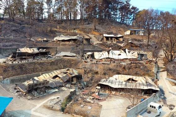 6일 경북 울진군 북면 신화 2리의 주택들이 울진·삼척산불로 잿더미로 변해 있다. [연합뉴스]