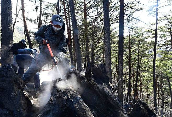 [동해=뉴시스] 김경목 기자 = 6일 오후 해군 제1함대사령부 장병들이 강원 동해시 신흥동 야산에서 잔불을 진화하고 있다. (사진=해군 제1함대사령부 제공) 2022.03.06. photo@newsis.com *재판매 및 DB 금지