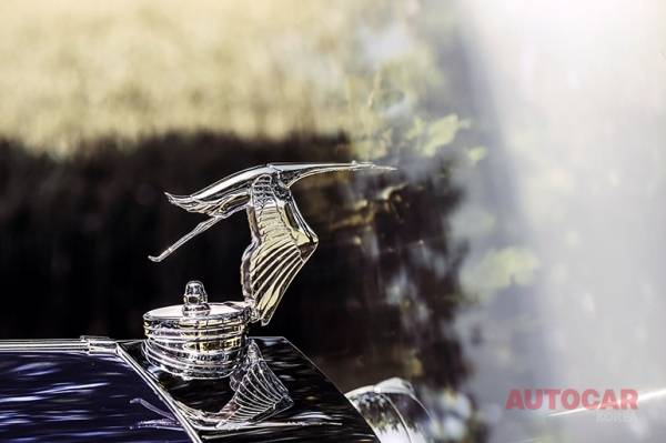 우아하게 떠다니는 황새 마스코트