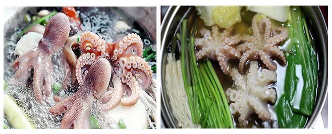 주꾸미는 봄에 산란기를 맞기 때문에 보호차원에서 주꾸미의 제철을 봄에서 가을로 바꿔야 한다. 사진=보령시(왼쪽), 서천군.