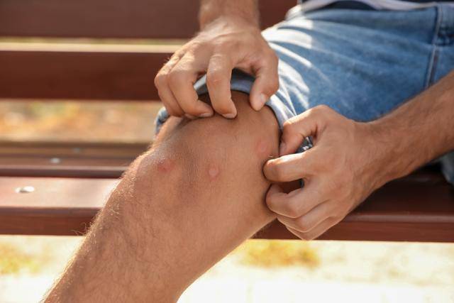 게티이미지뱅크